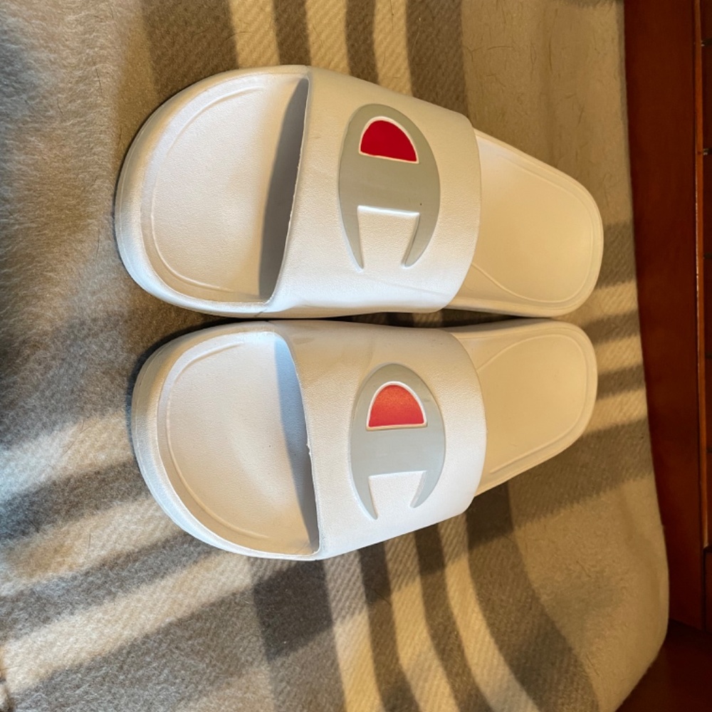 Champion slides - Picture 6 of 6